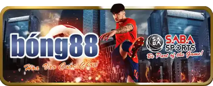 Hình ảnh minh họa trách nhiệm cá cược